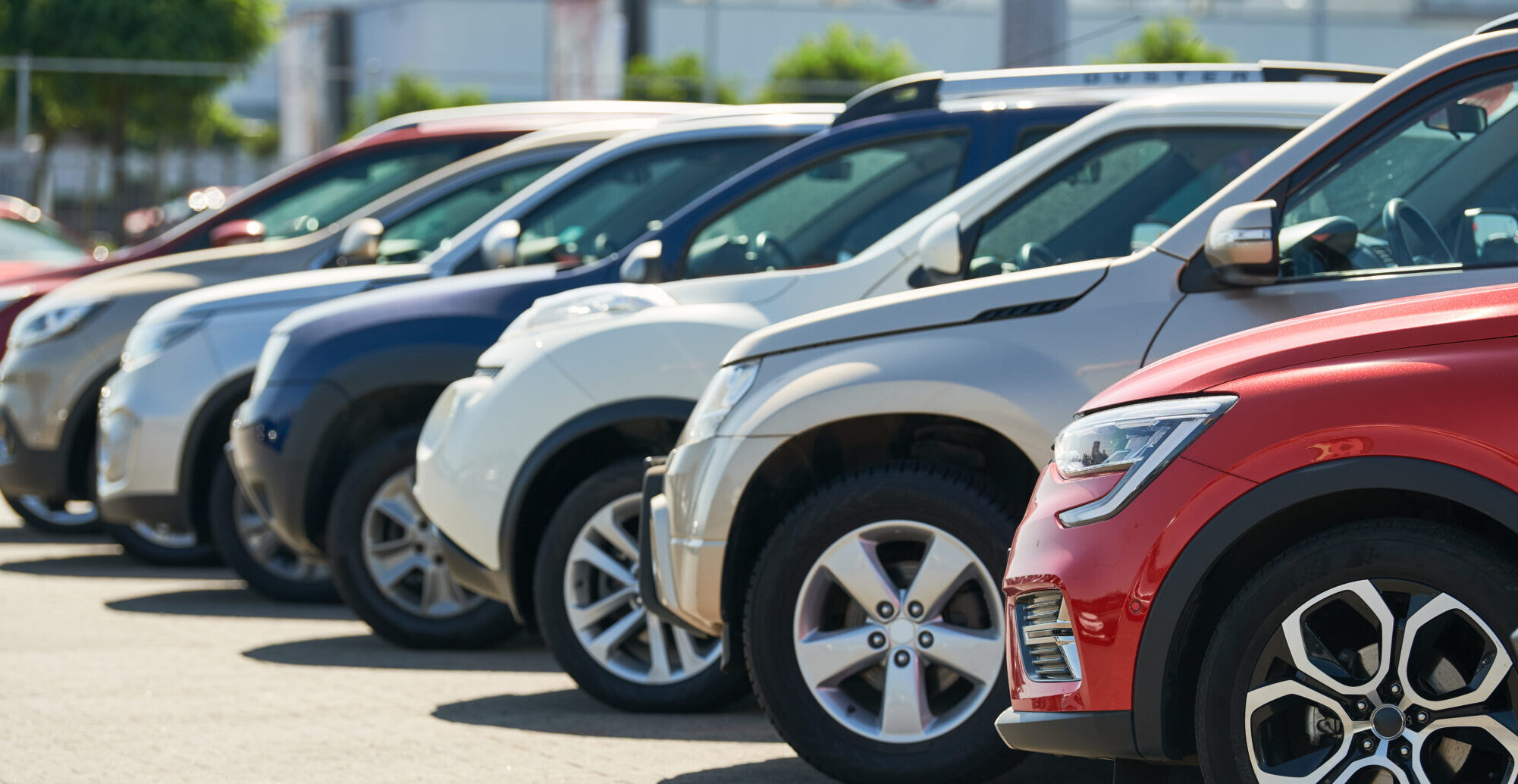 row of used cars. Rental or automobile sale services